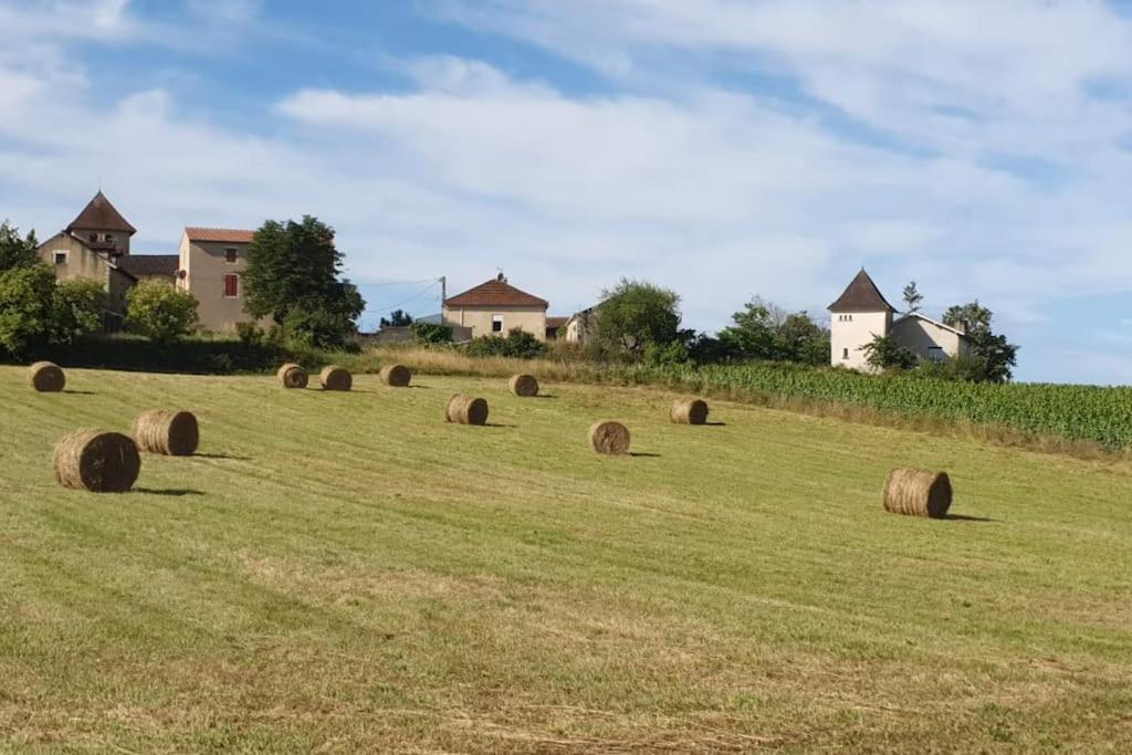 Appartement Tour Terelle
